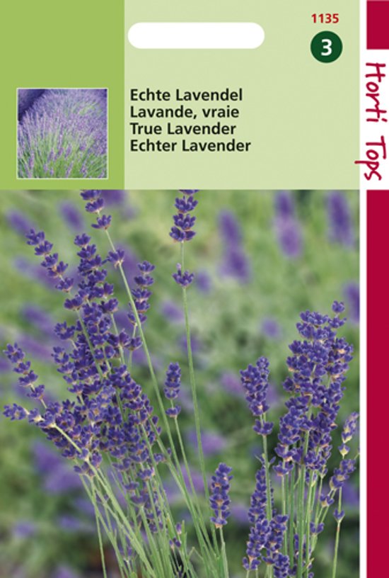 Echte lavendel (Lavandula angustifolia) 750 zaden HT